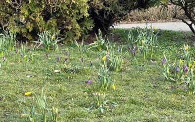 Wiosna w Warszawie kwiecień 2025